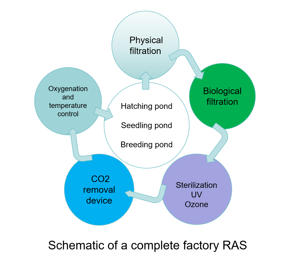 RAS