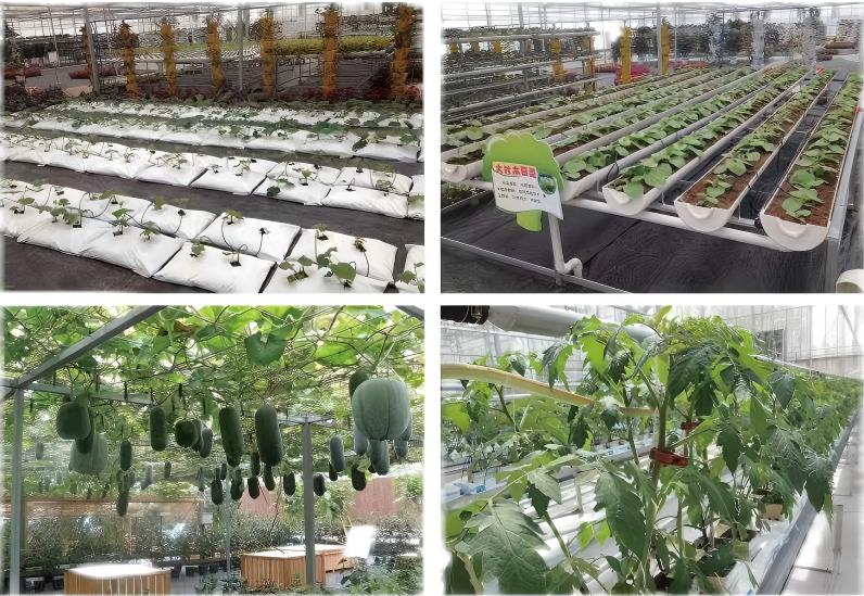 Substrate Cultivation